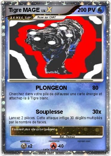 Pokemon Tigre MAGE