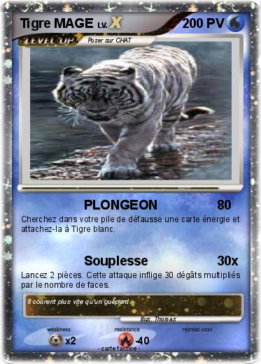 Pokemon Tigre MAGE
