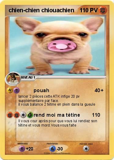 Pokemon chien-chien chiouachien