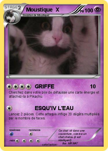 Pokemon Moustique  X