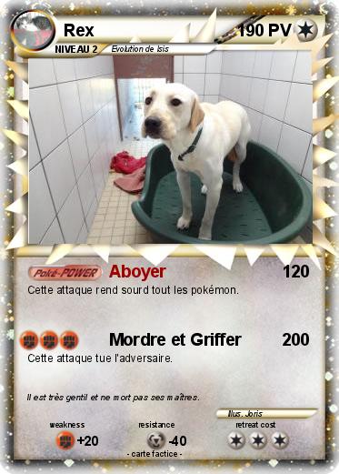 Pokemon Rex
