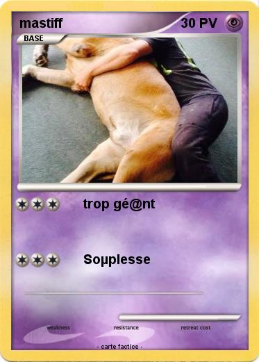 Pokemon mastiff