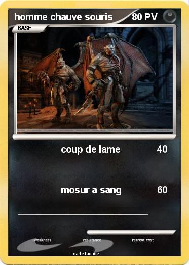 Pokemon homme chauve souris