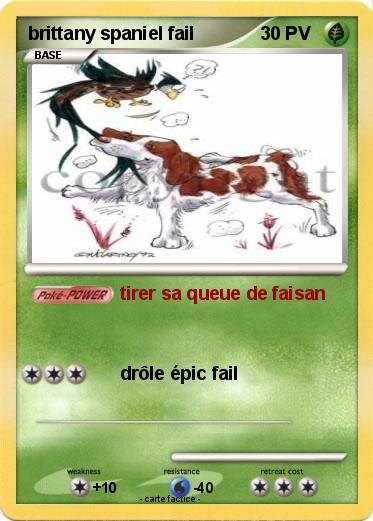 Pokemon brittany spaniel fail