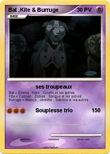 Pokemon Bat ,Kite & Burruge