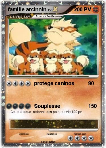Pokemon famille arcinnin