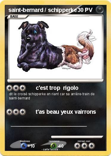 Pokemon saint-bernard / schipperke