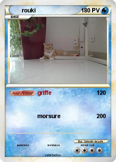 Pokemon rouki