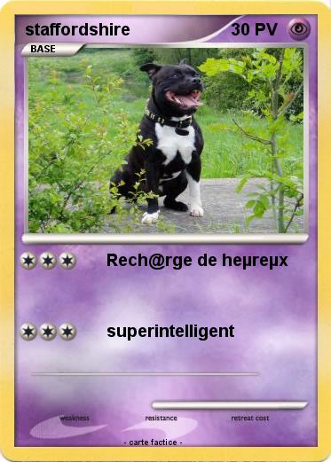Pokemon staffordshire