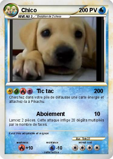 Pokemon Chico