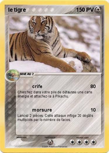 Pokemon le tigre