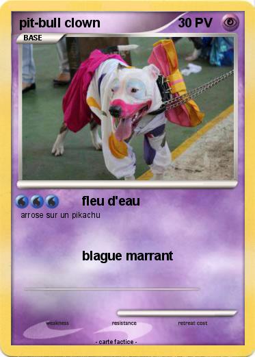 Pokemon pit-bull clown