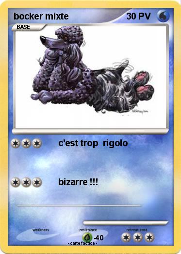Pokemon bocker mixte
