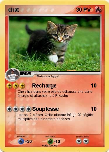 Pokemon chat