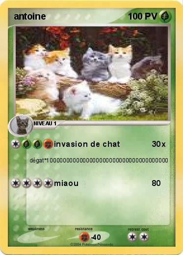 Pokemon antoine
