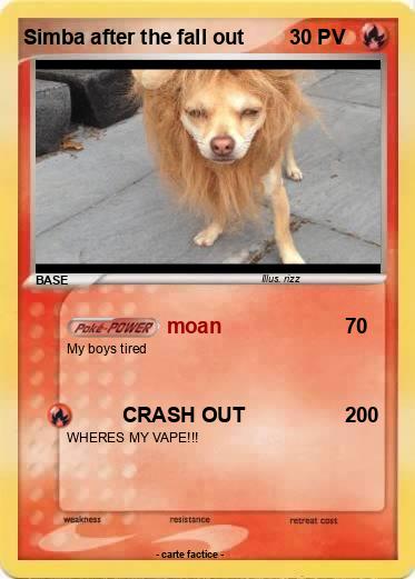 Pokemon Simba after the fall out