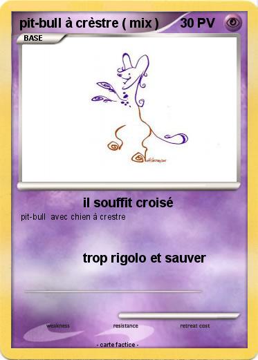 Pokemon pit-bull à crèstre ( mix )