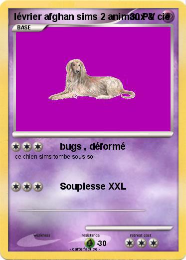 Pokemon lévrier afghan sims 2 animaux & cie