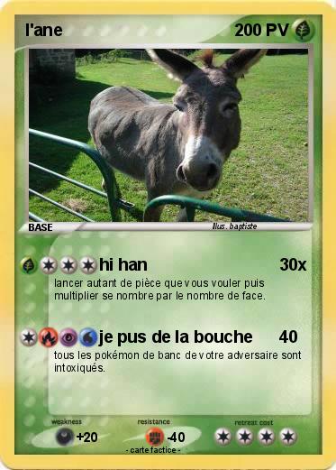 Pokemon l'ane