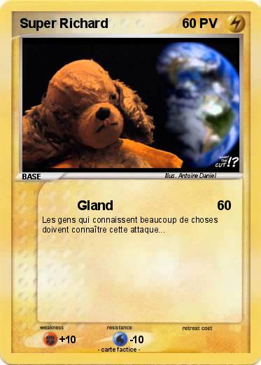 Pokemon Super Richard
