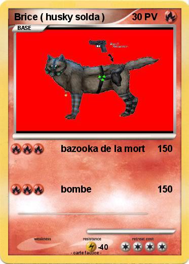 Pokemon Brice ( husky solda )