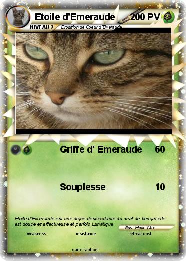 Pokemon Etoile d'Emeraude
