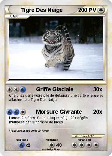 Pokemon Tigre Des Neige