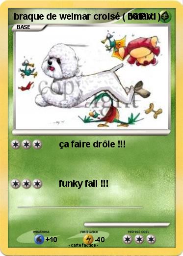 Pokemon braque de weimar croisé ( bâtard )