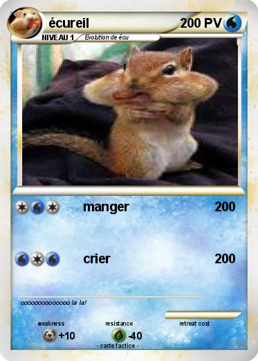 Pokemon écureil