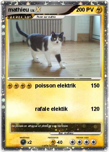 Pokemon mathieu