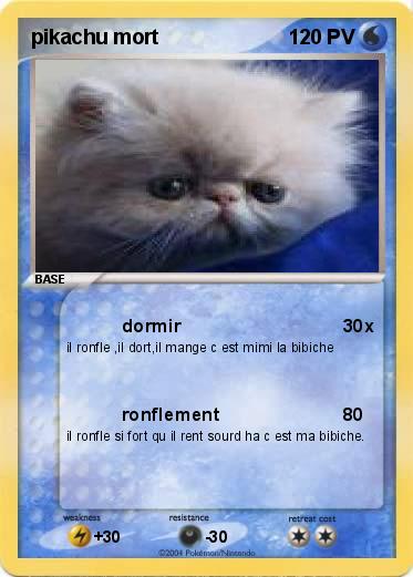 Pokemon pikachu mort