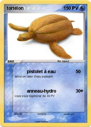 Pokemon tortelon
