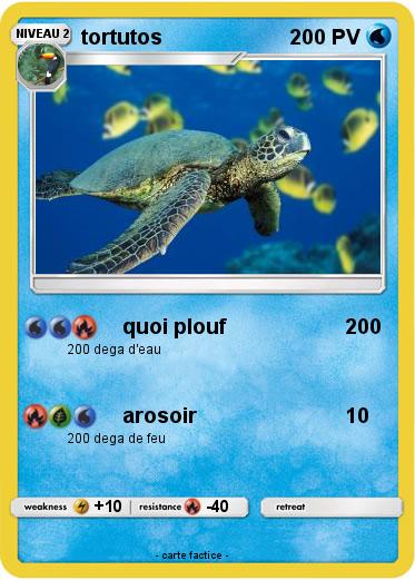 Pokemon tortutos