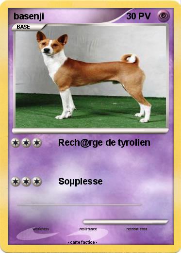 Pokemon basenji