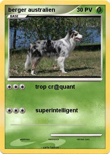 Pokemon berger australien