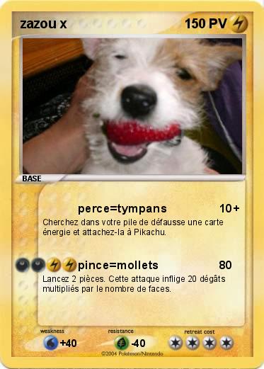 Pokemon zazou x