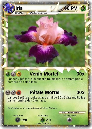 Pokemon Iris