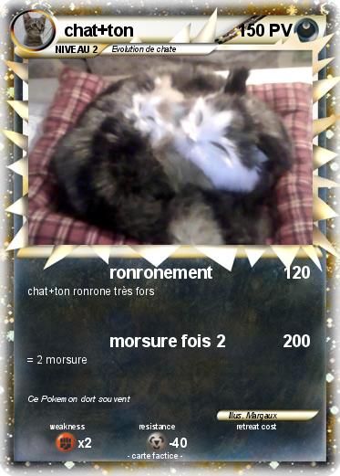 Pokemon chat+ton