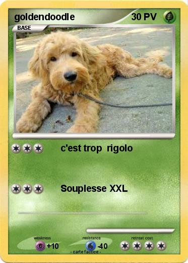 Pokemon goldendoodle