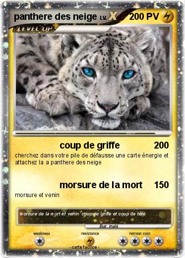 Pokemon panthere des neige