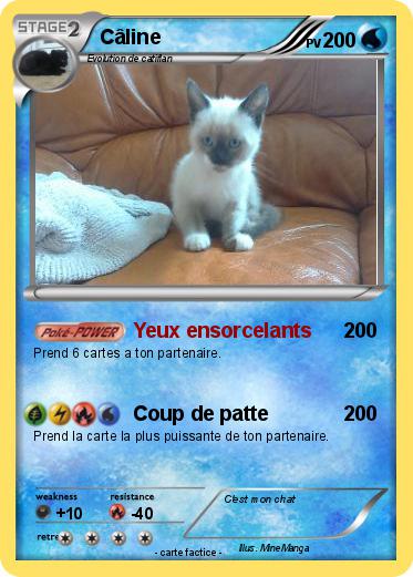 Pokemon Câline