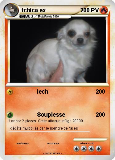 Pokemon tchica ex