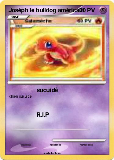 Pokemon Joséph le bulldog américain