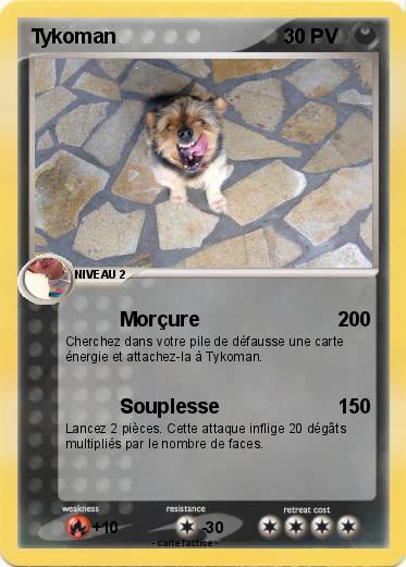 Pokemon Tykoman