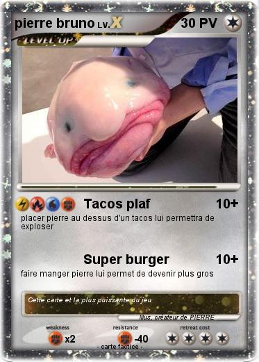 Pokemon pierre bruno