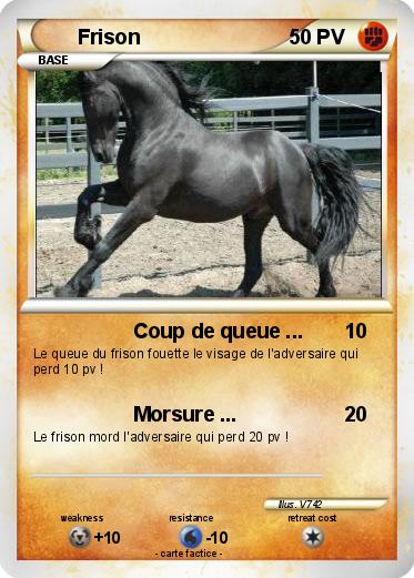 Pokemon Frison