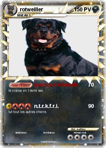 Pokemon rotweiller