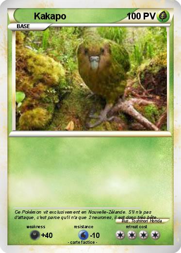 Pokemon Kakapo