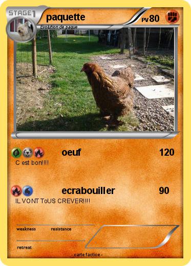 Pokemon paquette