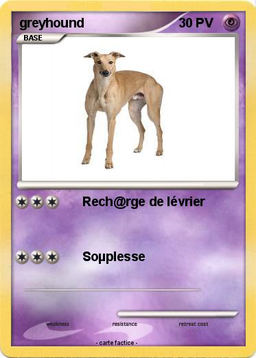 Pokemon greyhound